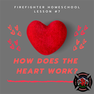 This is the lesson logo for How the Heart Works.
