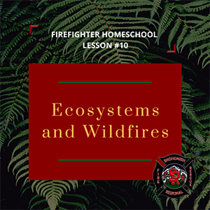 This is the lesson logo for Ecosytems and Wildfires.