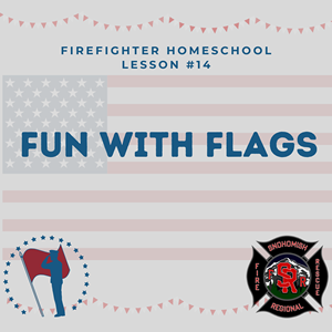 This is the lesson logo for Fun with Flags.