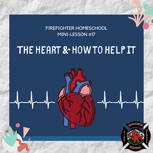 This is the lesson logo for The Heart How to Help.